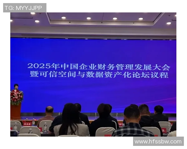 会计视角下企业财务管理的优化路径与实践策略分析