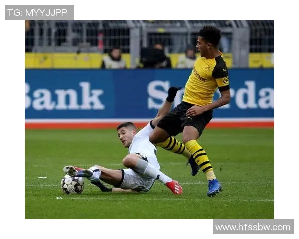 霍芬海姆与多特蒙德精彩对决在线直播全程回顾与分析