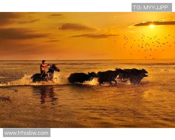 公牛精神象征与力量展现：从古代文化到现代竞技场的跨时代影响