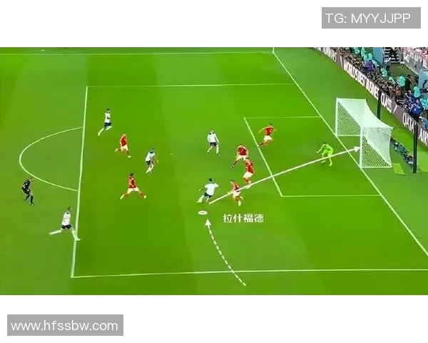 深入分析杭州乒乓球队阵地战战术及其在比赛中的应用与优势